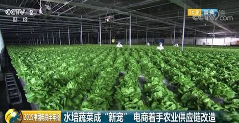 618購物節揭示消費新趨勢 90后轉向假發,00后擁抱抗衰老與蔬菜